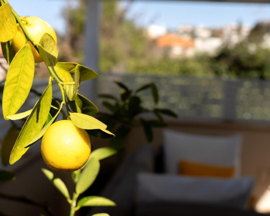 אוסנתה סוויטת בוטיק עם בריכה פרטית Villa Kefar Weradim Dış mekan fotoğraf